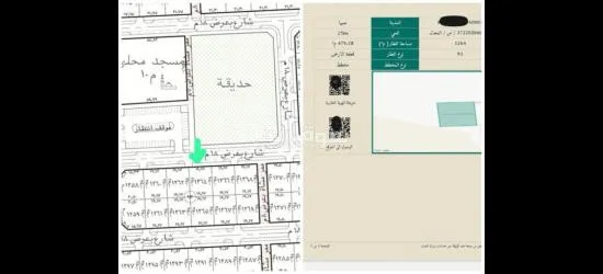 في نخلان صبيا للبيع ارض - 3